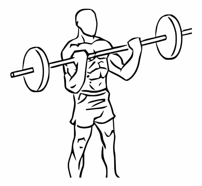 Barbell-Curls