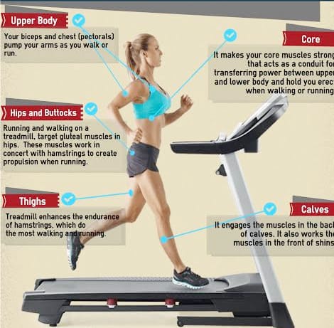 Your body. Is Walking on the Treadmill good. What muscles working when you walk. Which exercise Hits which muscle in the Arm. What muscles are used when Running.